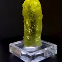 specimen video