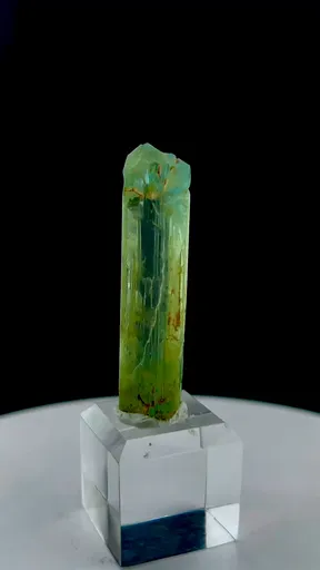 specimen video