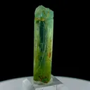 specimen video