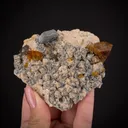 Helvine on Microcline with Muscovite - image 2