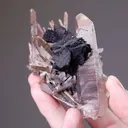 HELVINE on Quartz - image 2