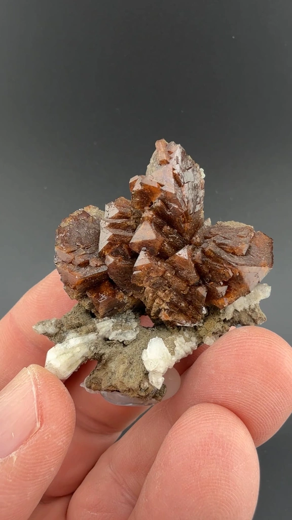 Helvite image
