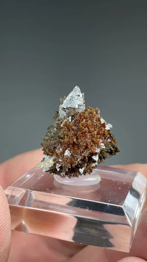 Helvite-Genthelvite with Quartz - image 2