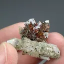 Helvite-Genthelvite with Quartz, Chlorite, Calcite - image 2