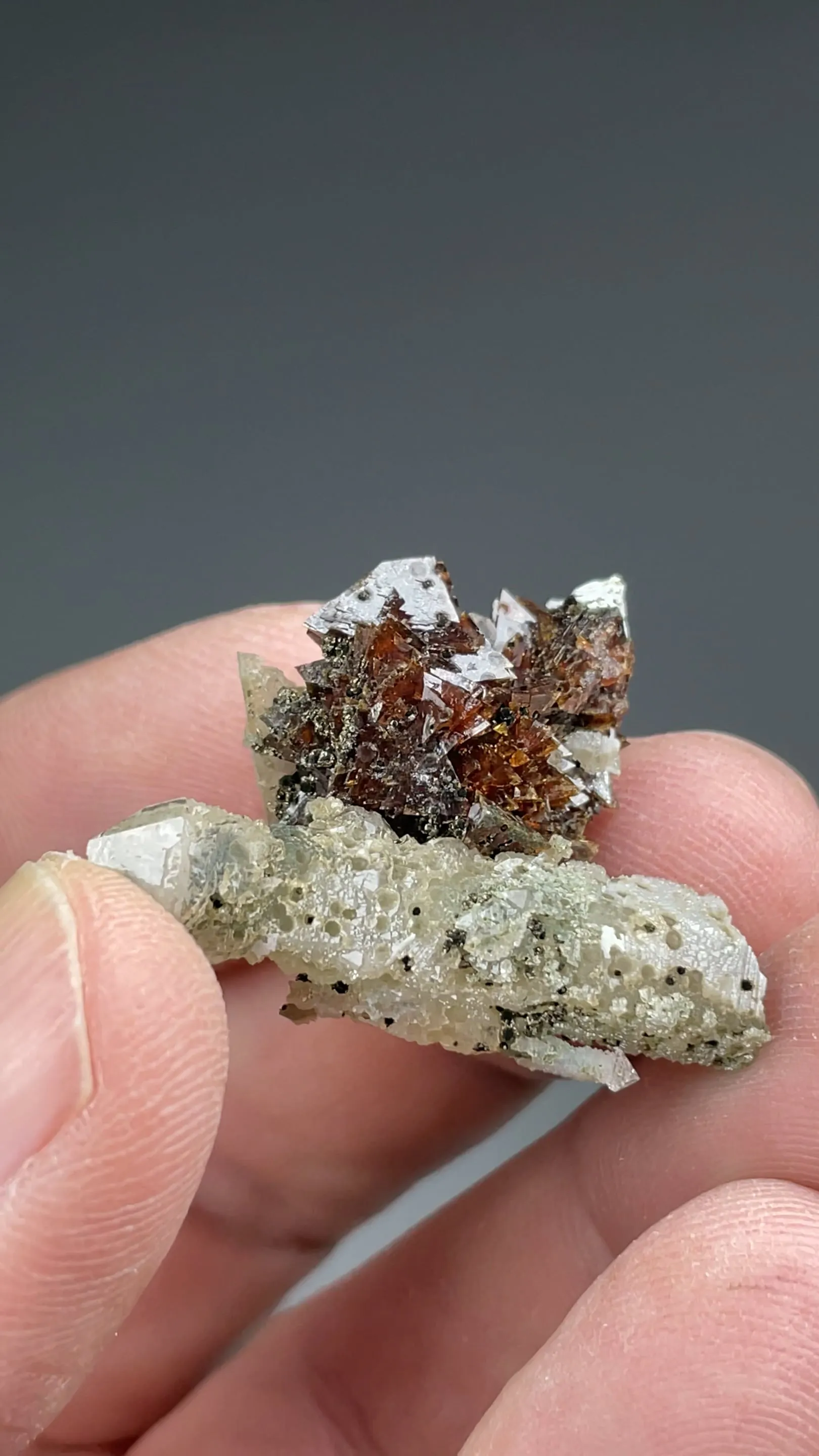 Helvite-Genthelvite with Quartz, Chlorite, Calcite - image 2