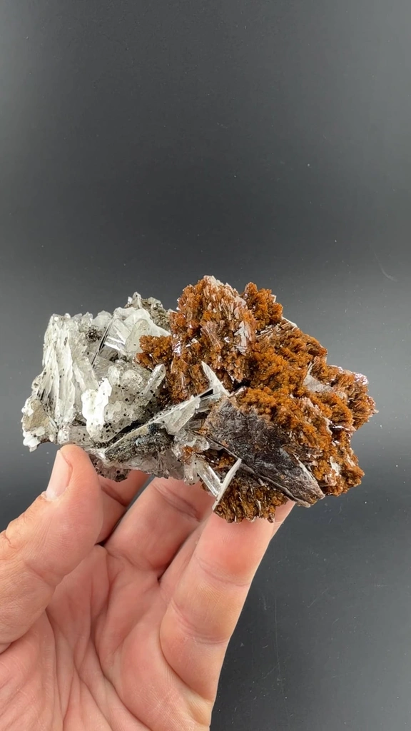 Helvite with Quartz, Calcite - image 2