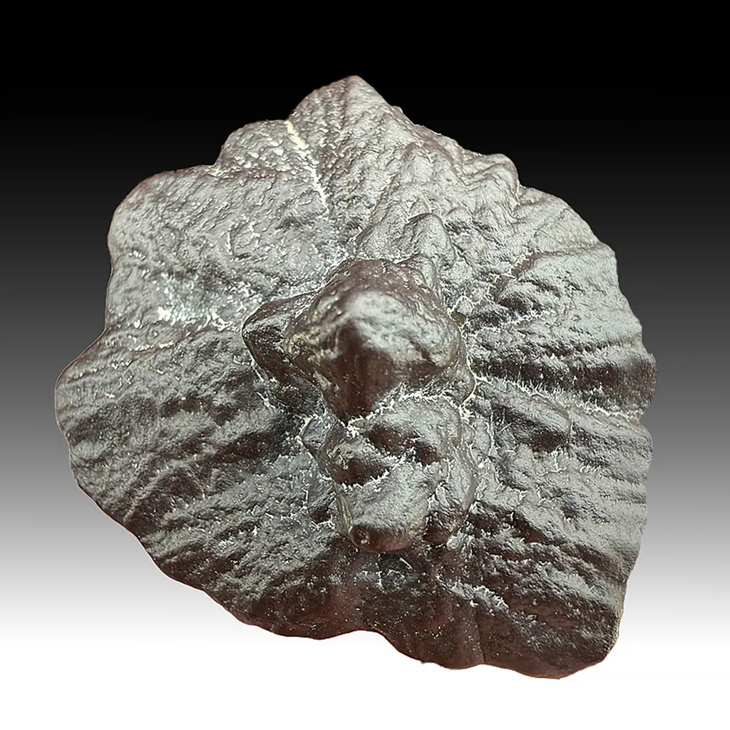 Hematite after Marcasite image