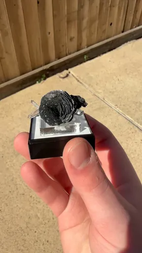 specimen video