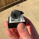 specimen video