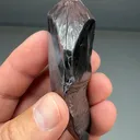 Hematite from Norrie Mine, Michigan Iron Range, Michigan, USA - image 2