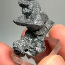 specimen video