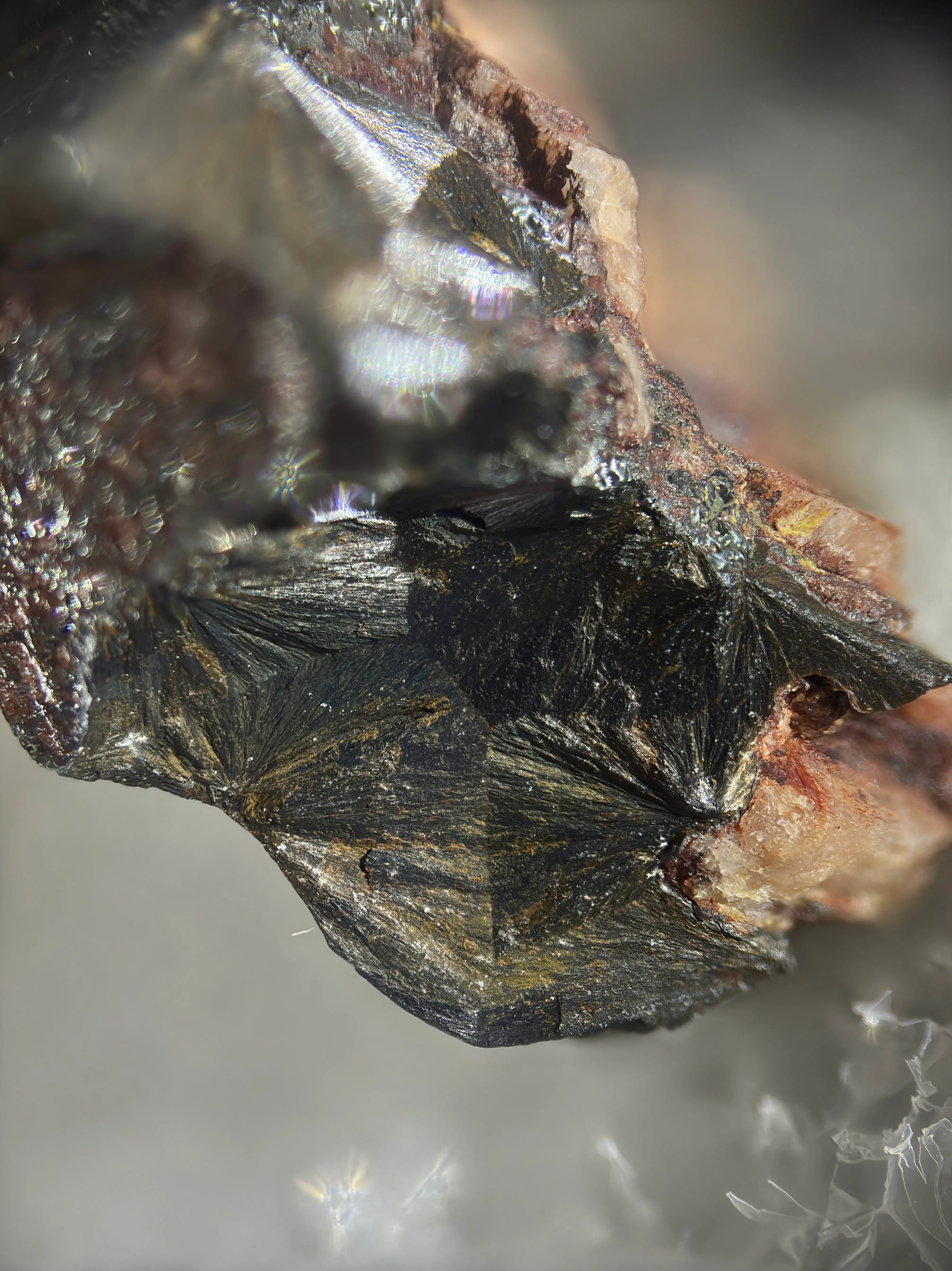 Hematite from USA, Colorado, Teller County - image 7