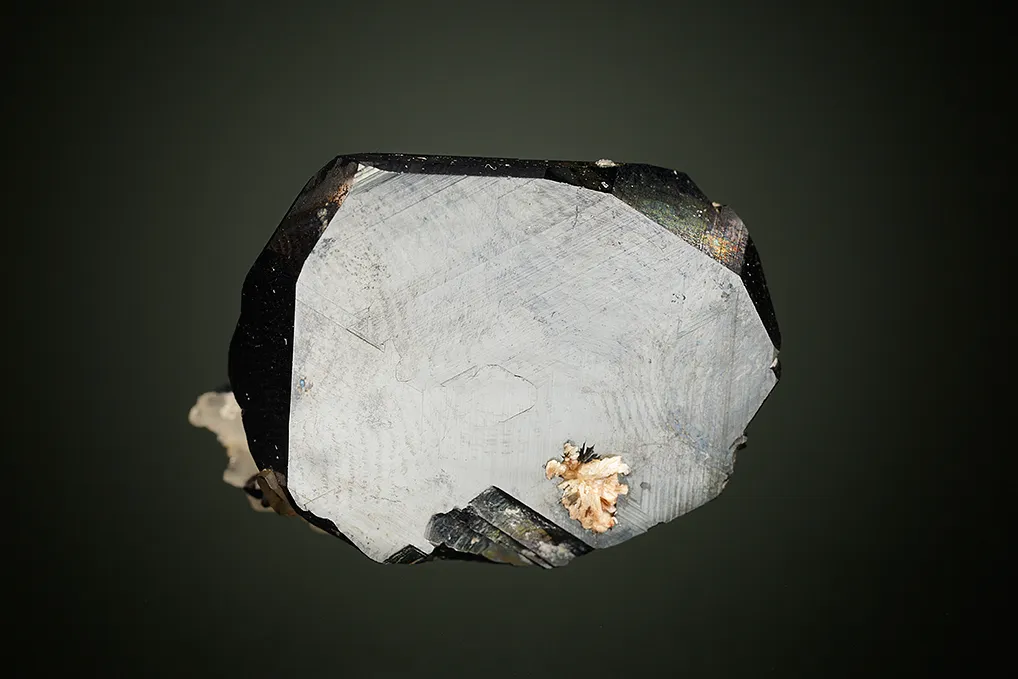 Hematite on Quartz - image 2