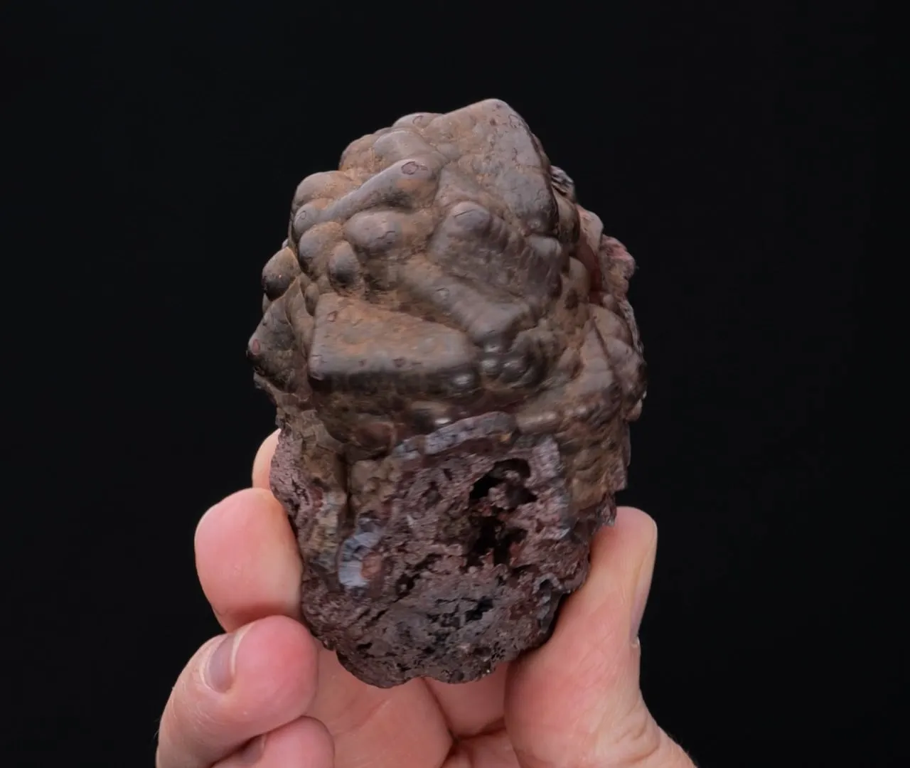 Hematite ps. after Fluorite and Pyrite - image 2