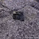 Hematite ps. Almandine Garnet with Bixbyite - image 5