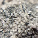specimen video