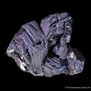 Hematite Rose - image 4