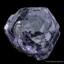 Hematite Rose - image 5