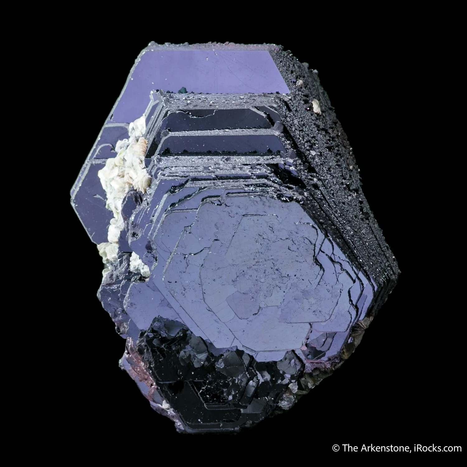 Hematite Rose with Muscovite?? - image 3