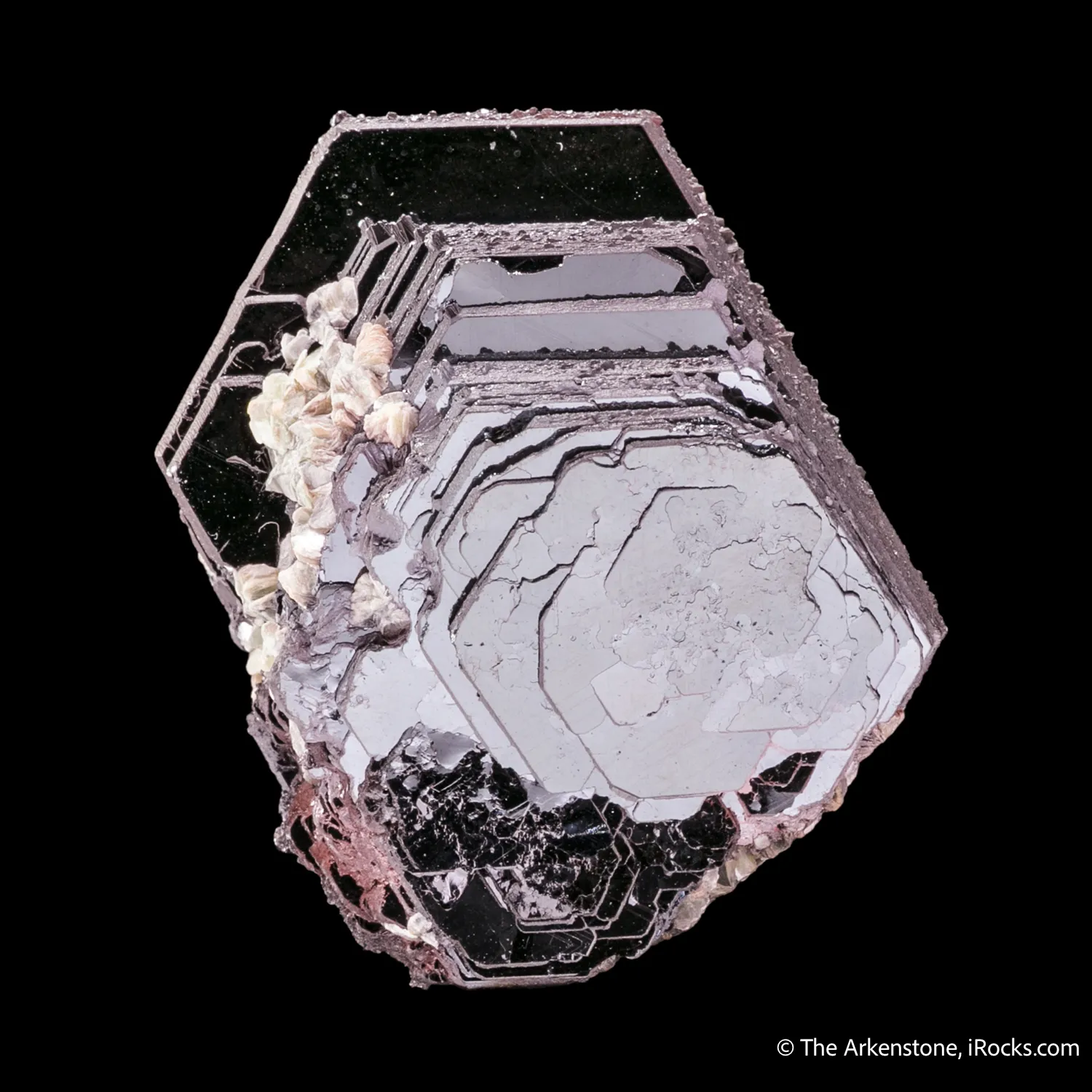 Hematite Rose with Muscovite?? - image 6