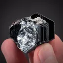 Hematite Rose with Muscovite?? - image 1