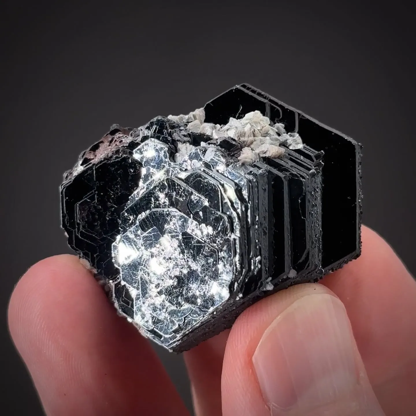 Hematite Rose with Muscovite?? - image 1