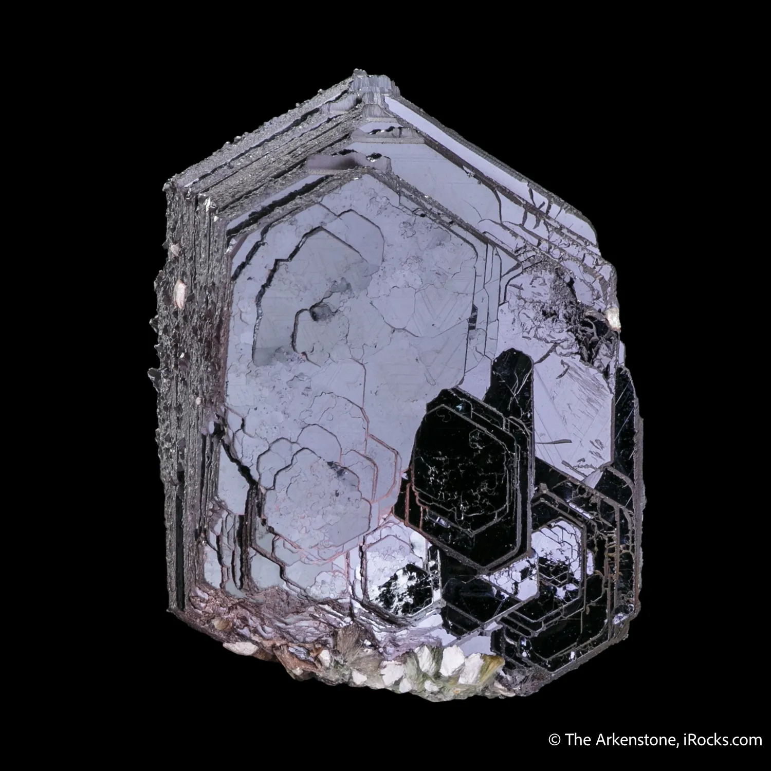 Hematite Rose with Muscovite?? - image 5