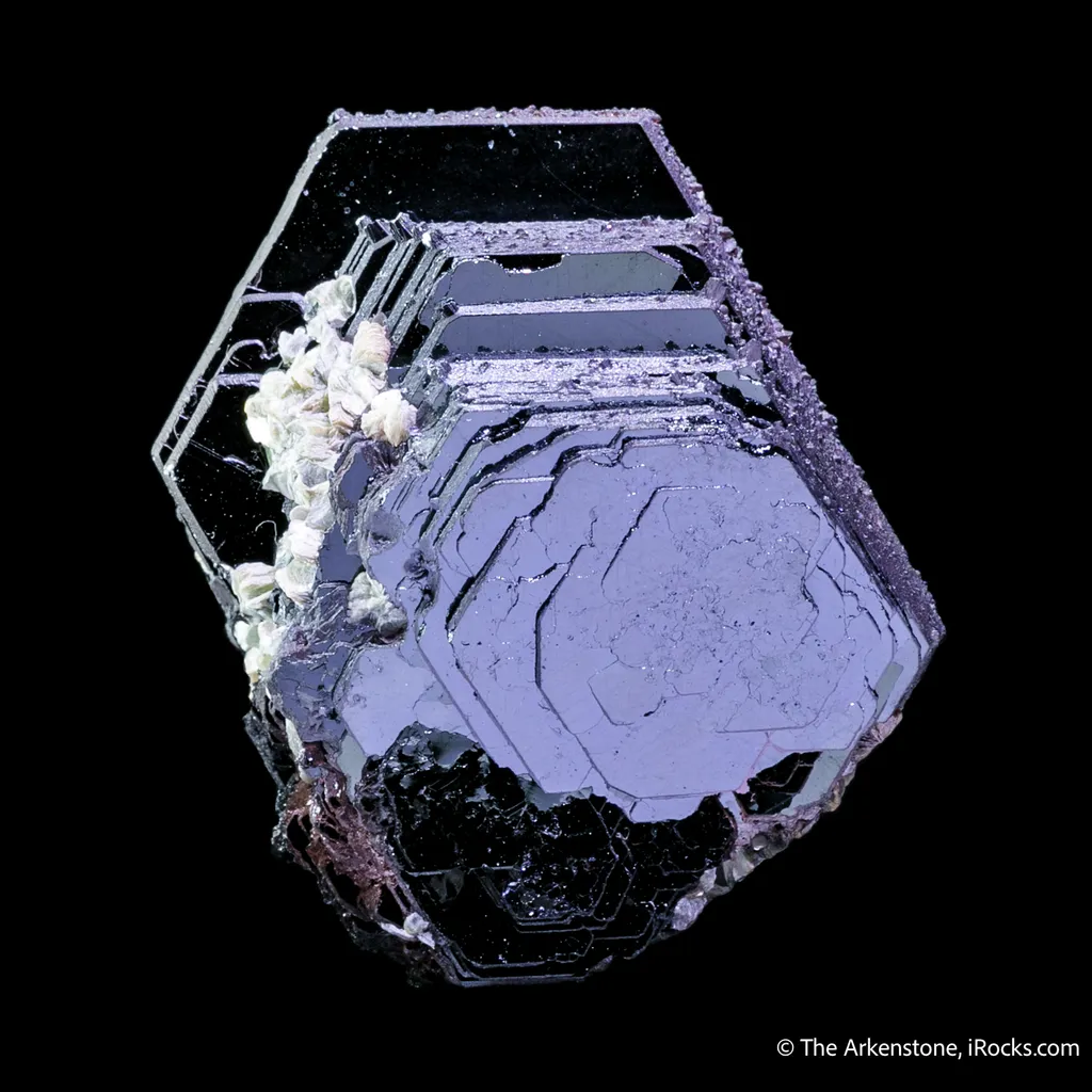 Hematite Rose with Muscovite - image 4
