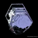 Hematite Rose with Muscovite?? - image 4