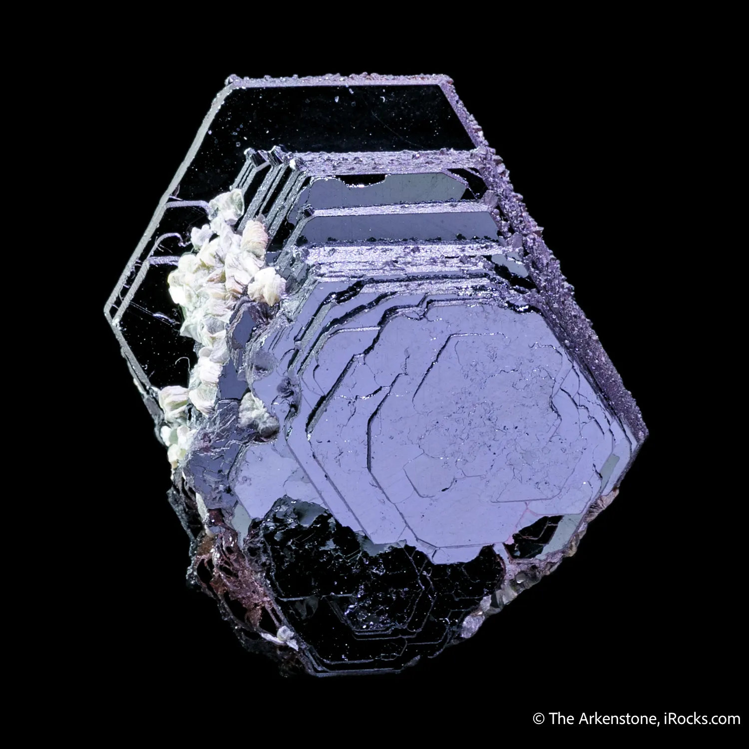 Hematite Rose with Muscovite?? - image 4