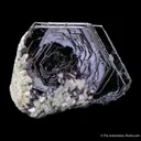 Hematite Rose with Muscovite - image 3