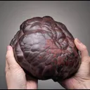 Hematite var. Kidney Ore - image 2