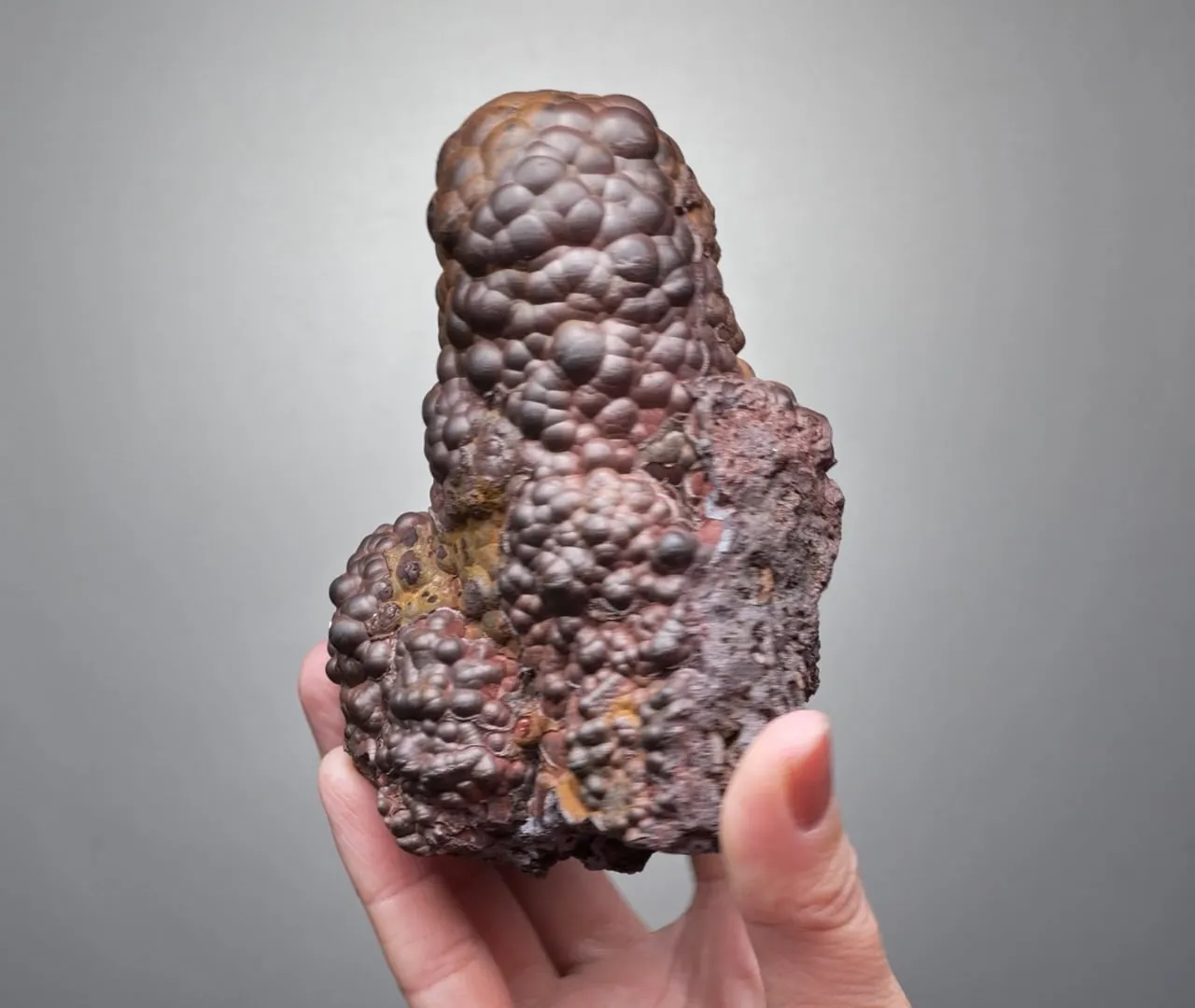 Hematite var. Kidney Ore - image 2