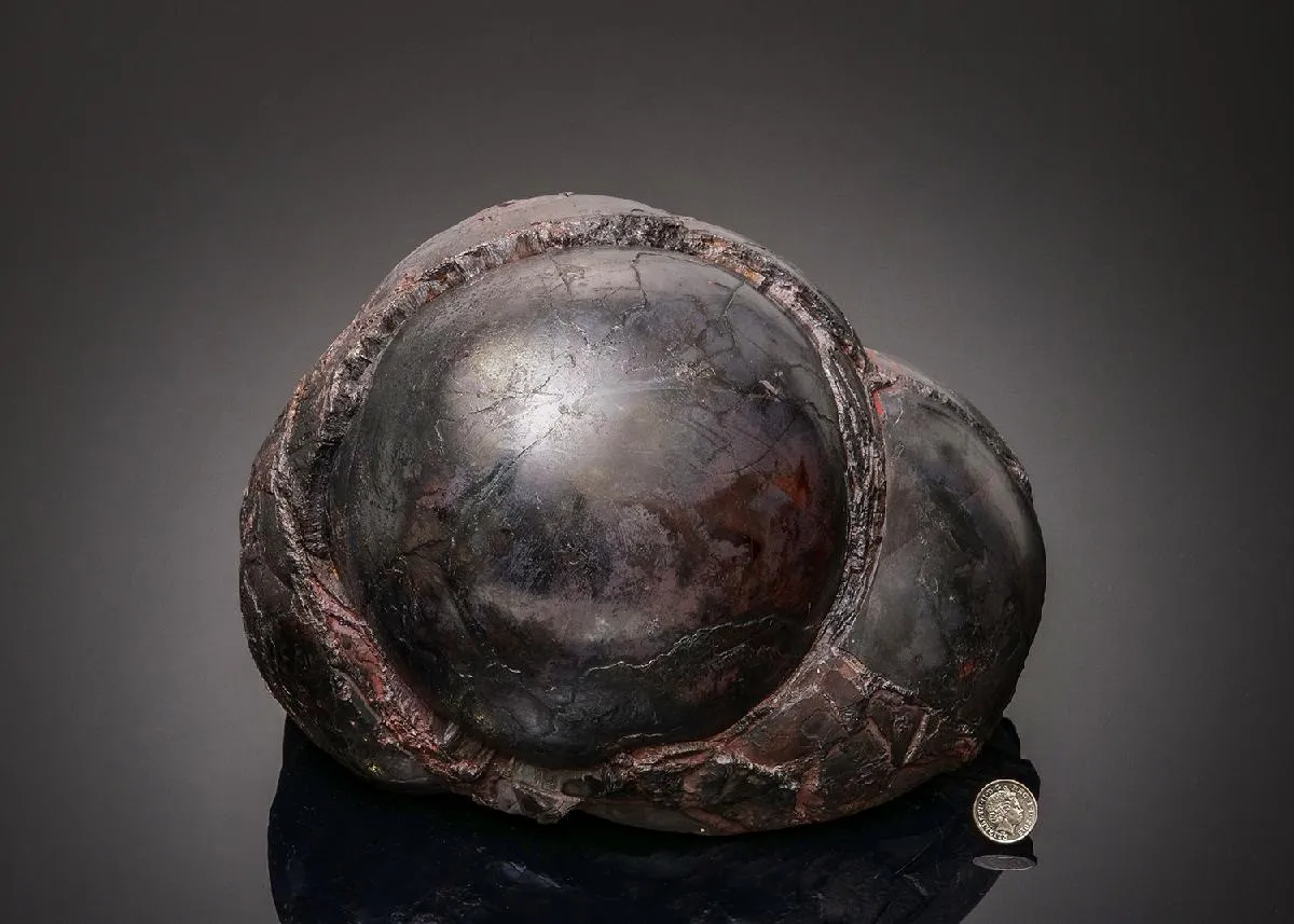 Hematite var. Kidney Ore - image 1