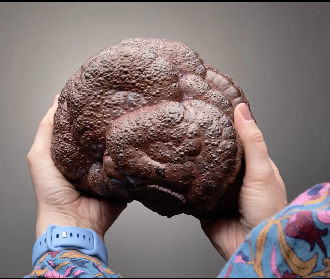 Hematite var. Kidney Ore - image 2