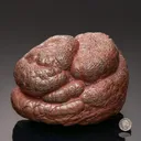 Hematite var. Kidney Ore - image 1