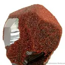 Hematite With Andradite Garnet "Veil" - image 4