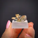 Hematite with Rutile and Quartz - image 2