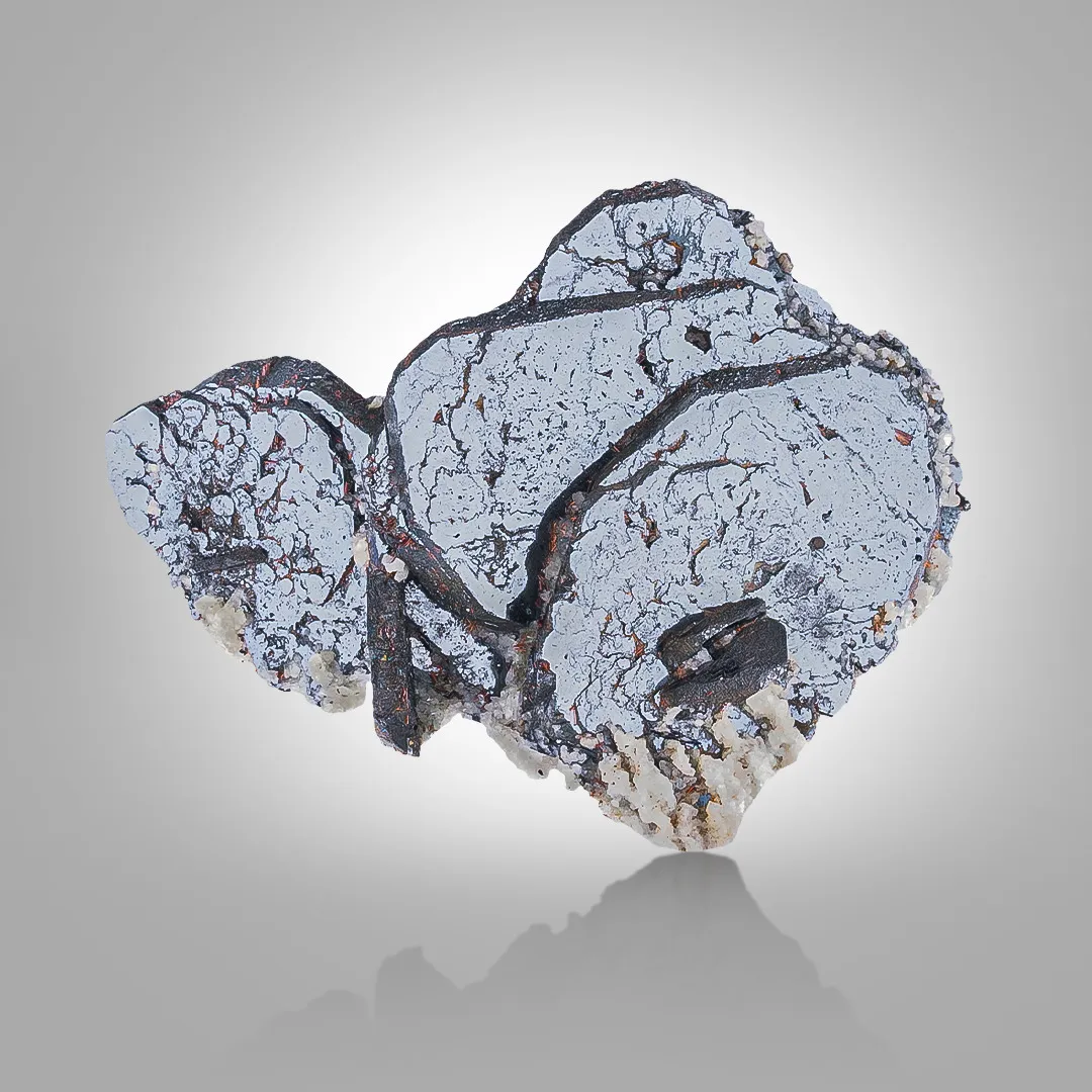 Hematite with Sagenite - image 1