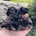 Hematites with Quartz - image 4