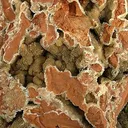 Hemimorphite - image 2
