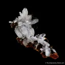 Hemimorphite on Limonite - image 1