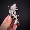 Hemimorphite on Limonite - image 2