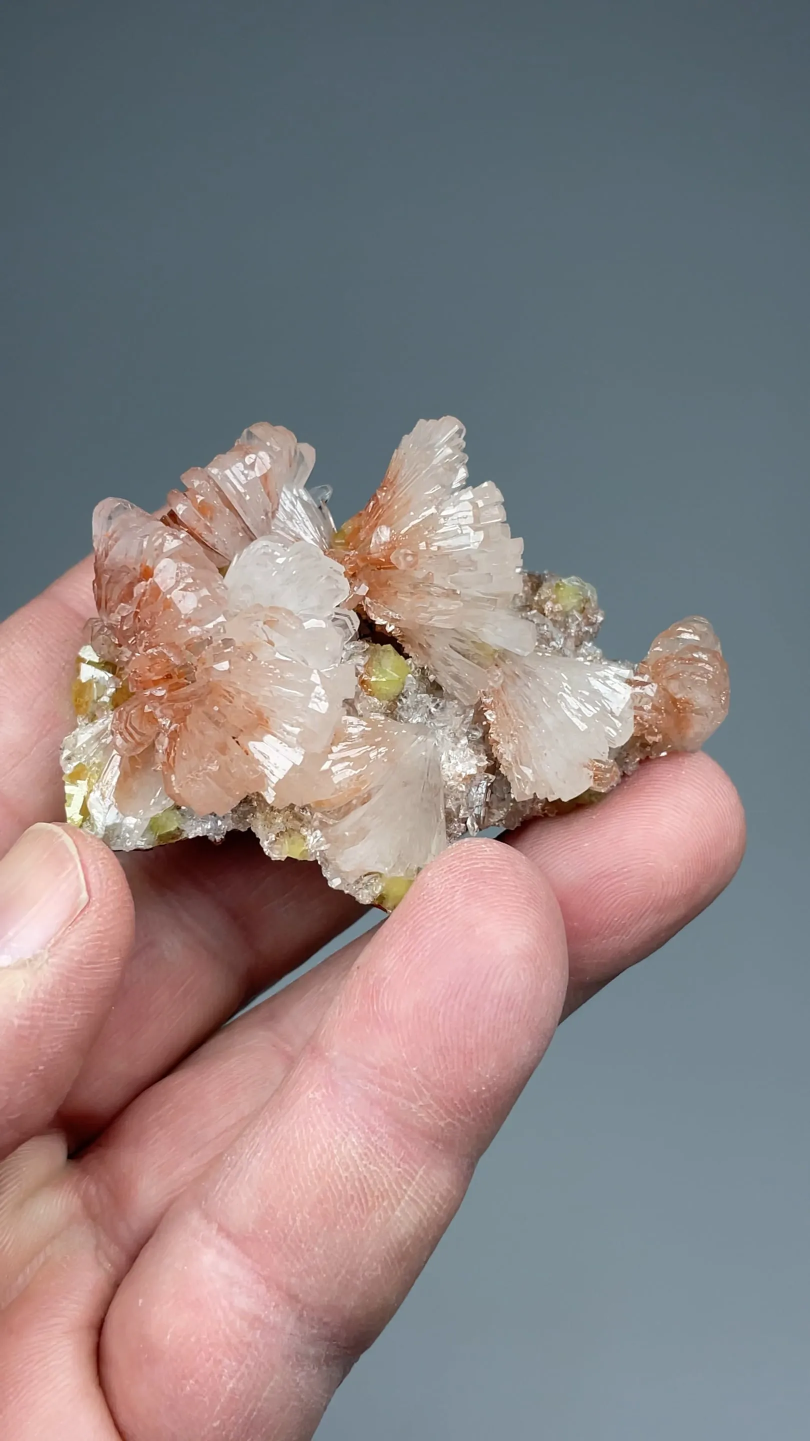 Hemimorphite with Adamite - image 2
