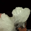 Hemimorphite with Calcite - image 4
