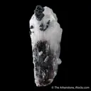 Hemimorphite with Chalcophanite - image 4