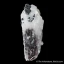Hemimorphite with Chalcophanite - image 3