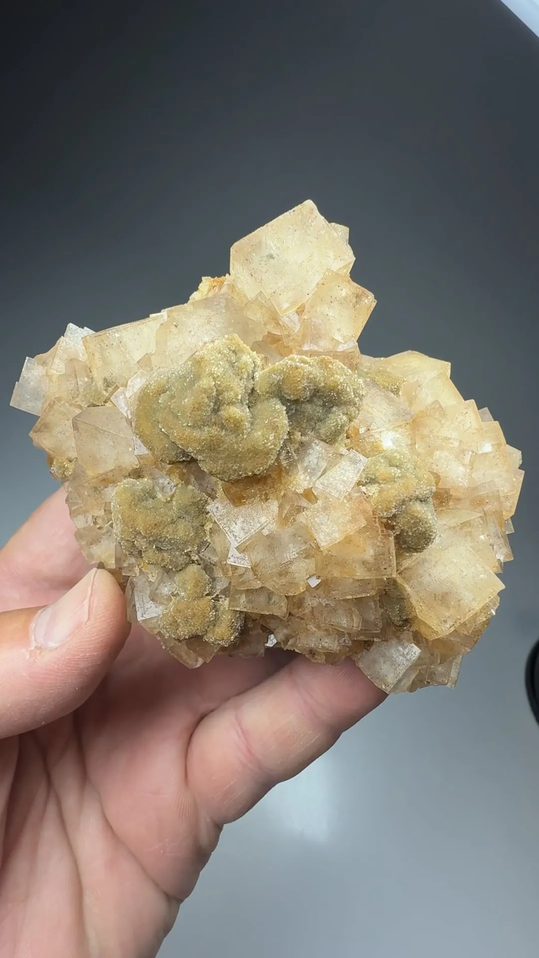 Hemimorphite with Fluorite - image 2