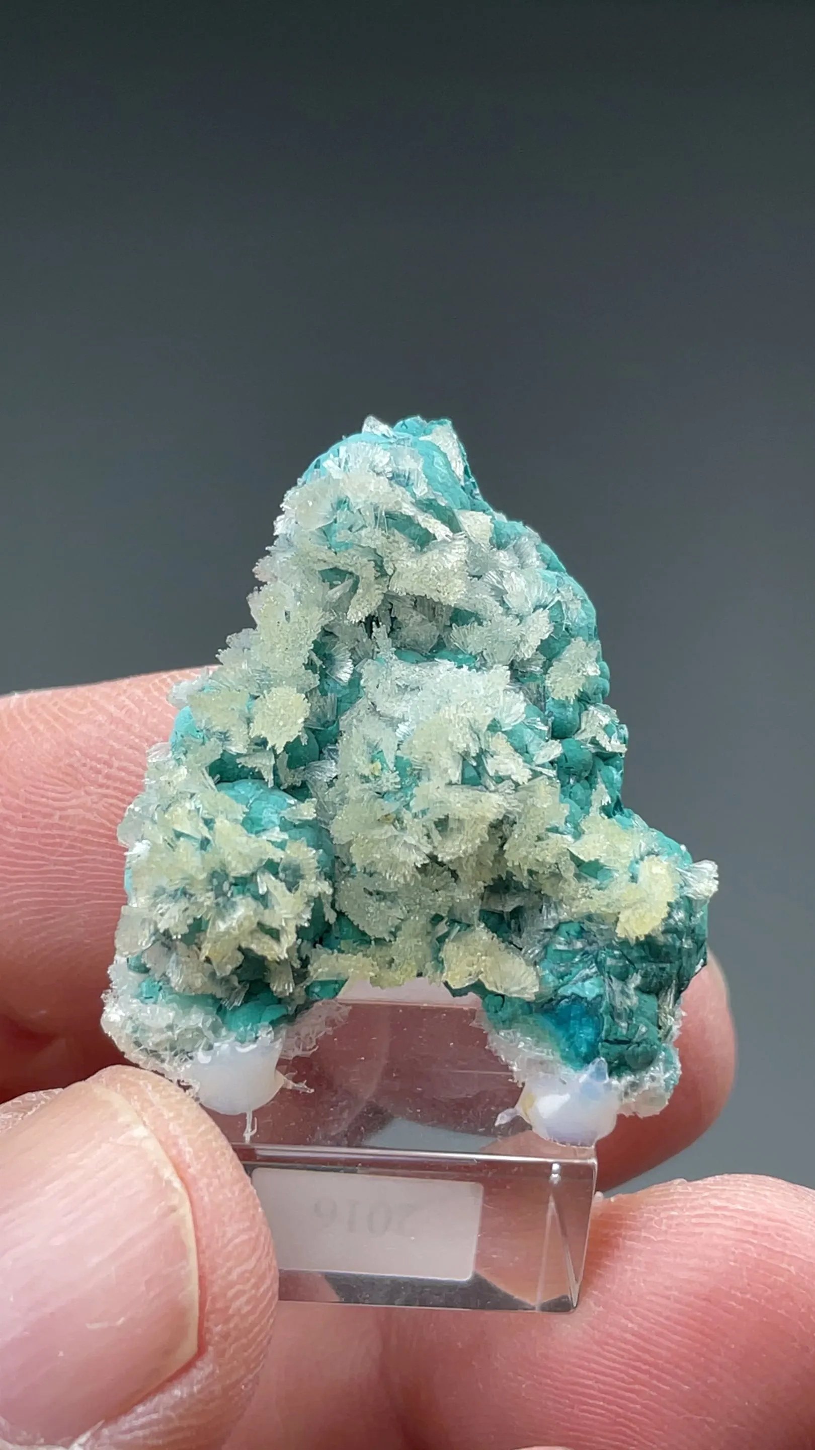Hemimorphite with Rosasite - image 2