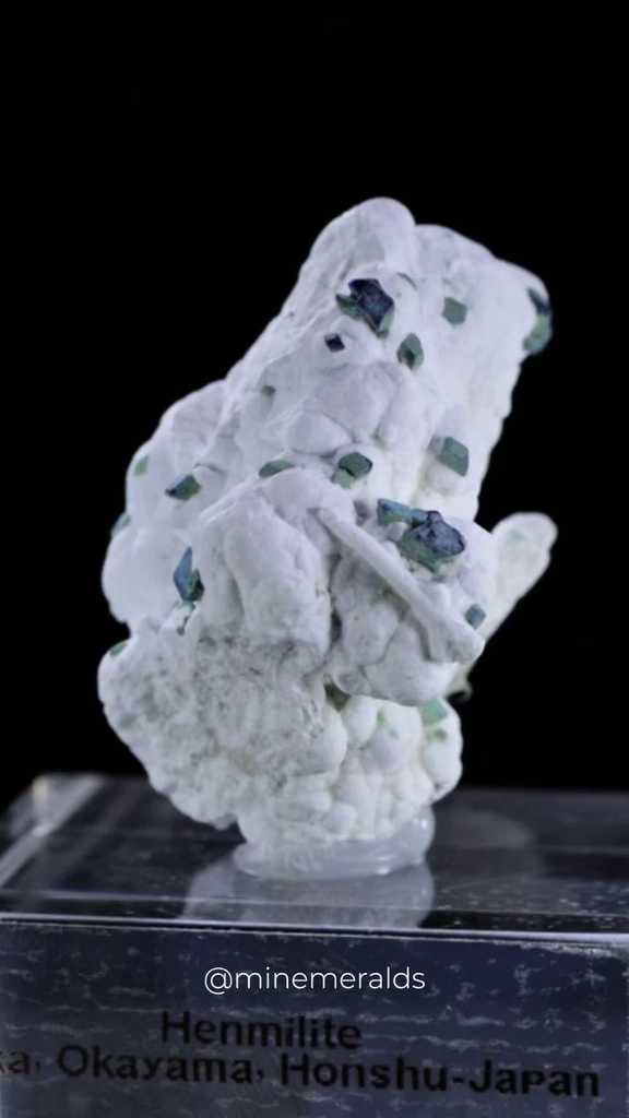 specimen video